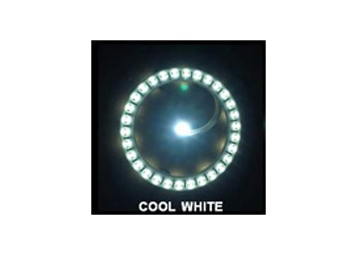 Cool White BriteRings™ Pop Bumper Lighting
