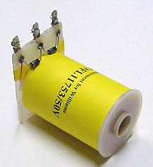 FL11753 Flipper Coil *
