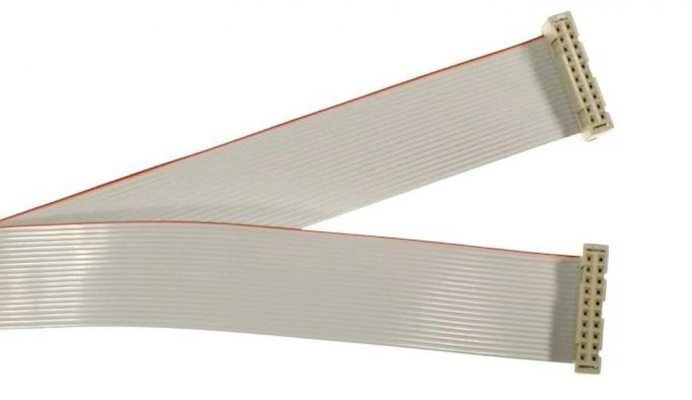 20 Pin 12" Ribbon Cable `